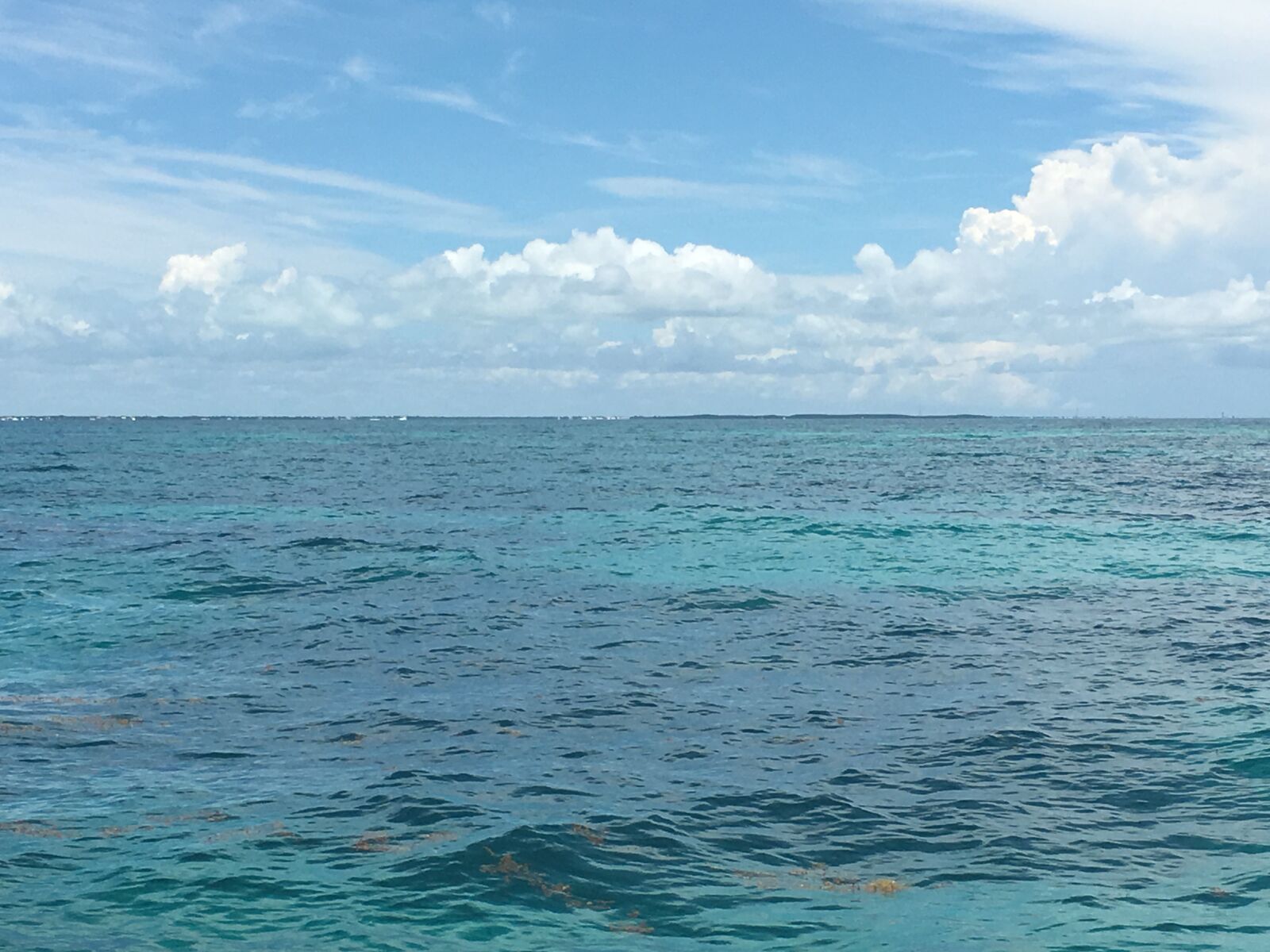 Apple iPhone 6s sample photo. Ocean, florida-keys, water photography