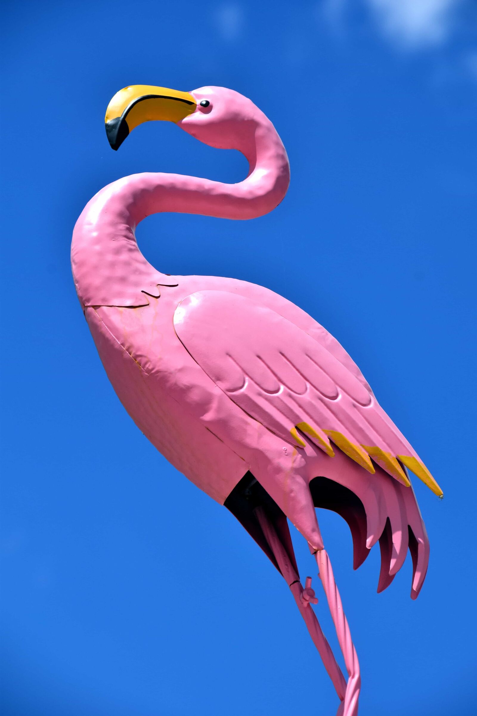 Nikon D3300 sample photo. Figure, bird, animal, statue photography