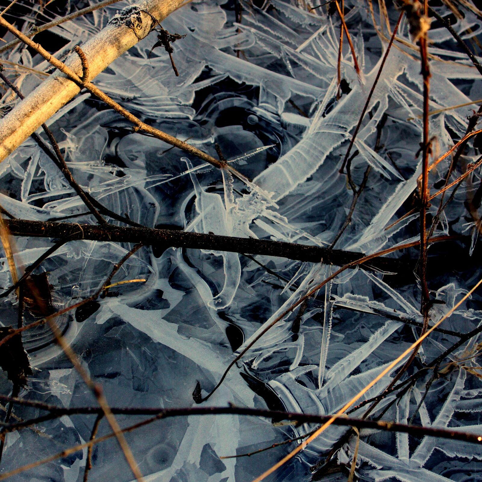 Canon EOS 600D (Rebel EOS T3i / EOS Kiss X5) sample photo. Frost, ice, winter photography