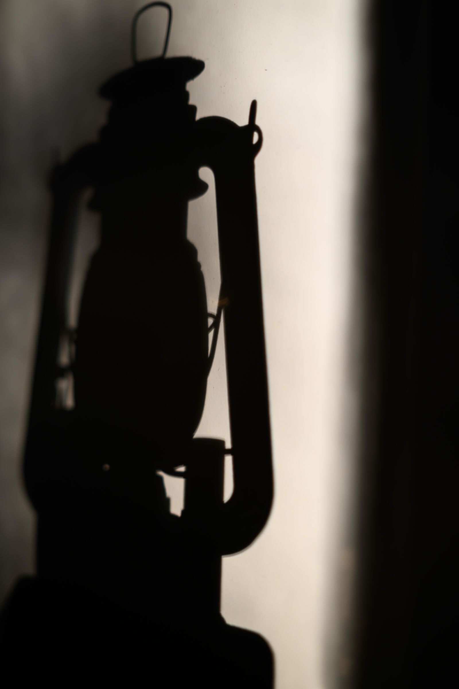 Nikon Z8 sample photo. Lantern shadow photography