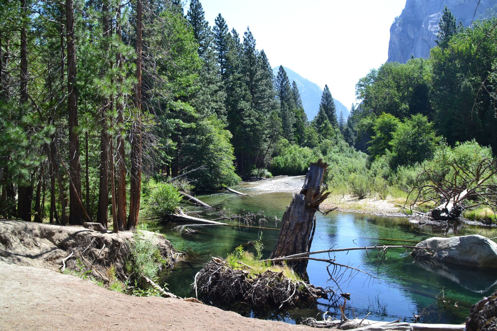 Nikon D3100 sample photo. Usa, national park, california photography