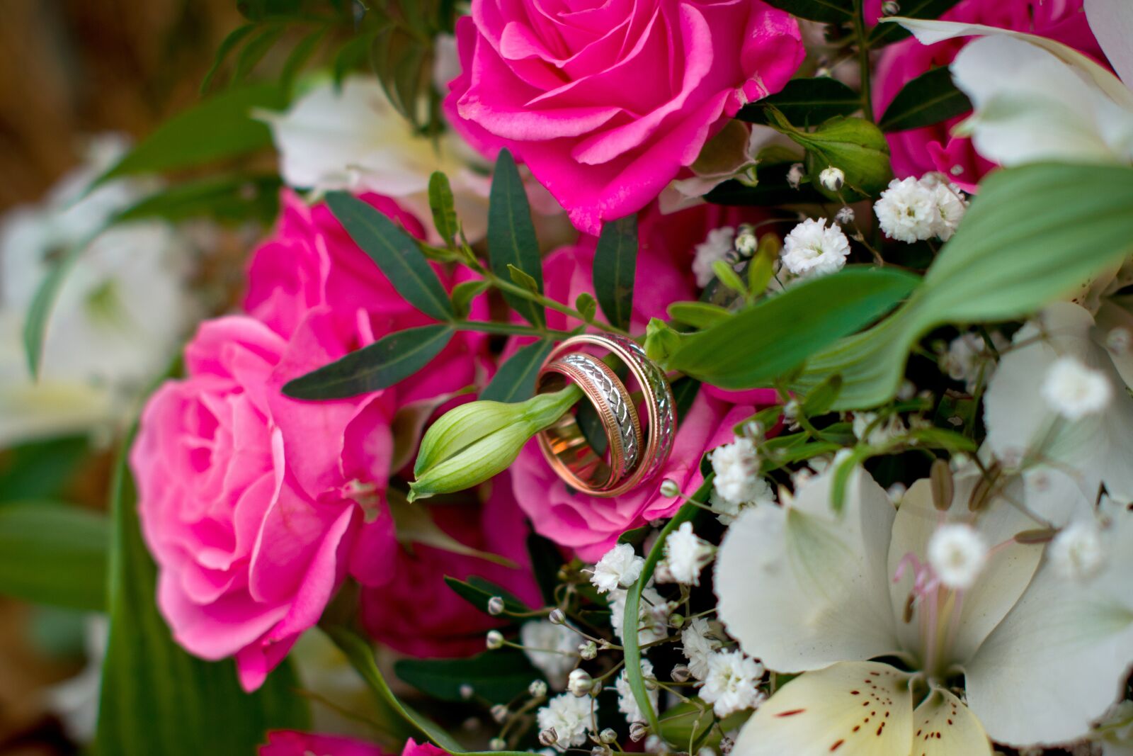 Nikon D7000 sample photo. Flower, plant, nature photography