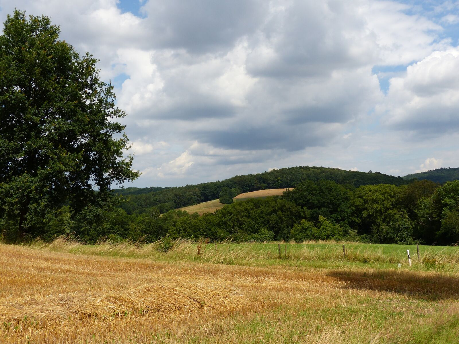 Panasonic Lumix DMC-FZ200 sample photo. Summer, hate mountains, upper photography