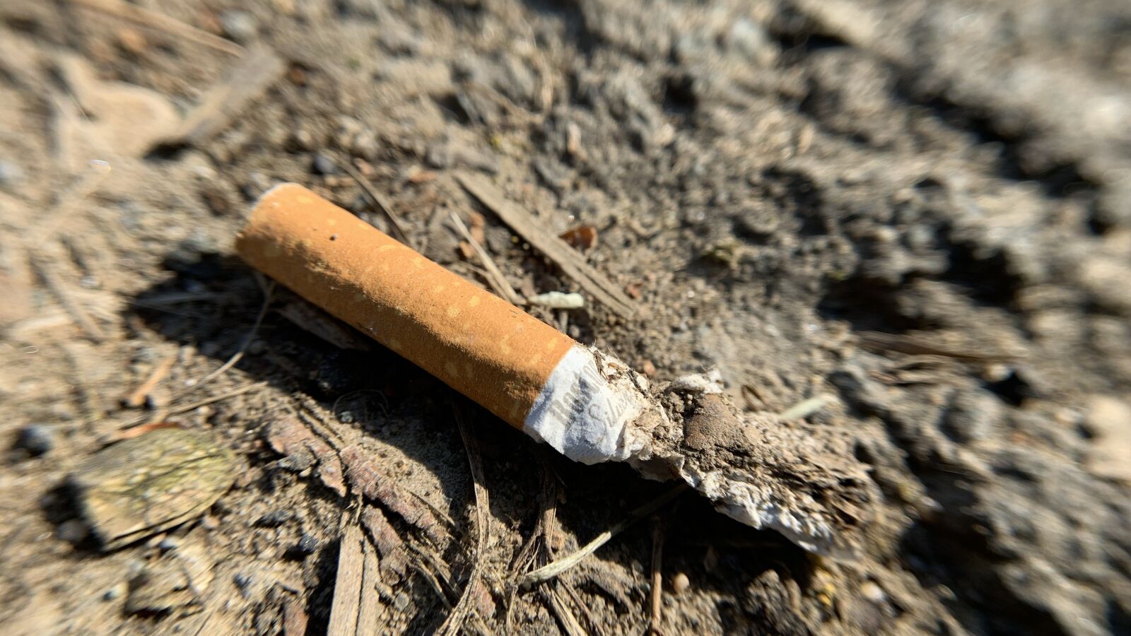 Apple iPhone XR sample photo. Cigarette, stub, cigarette end photography