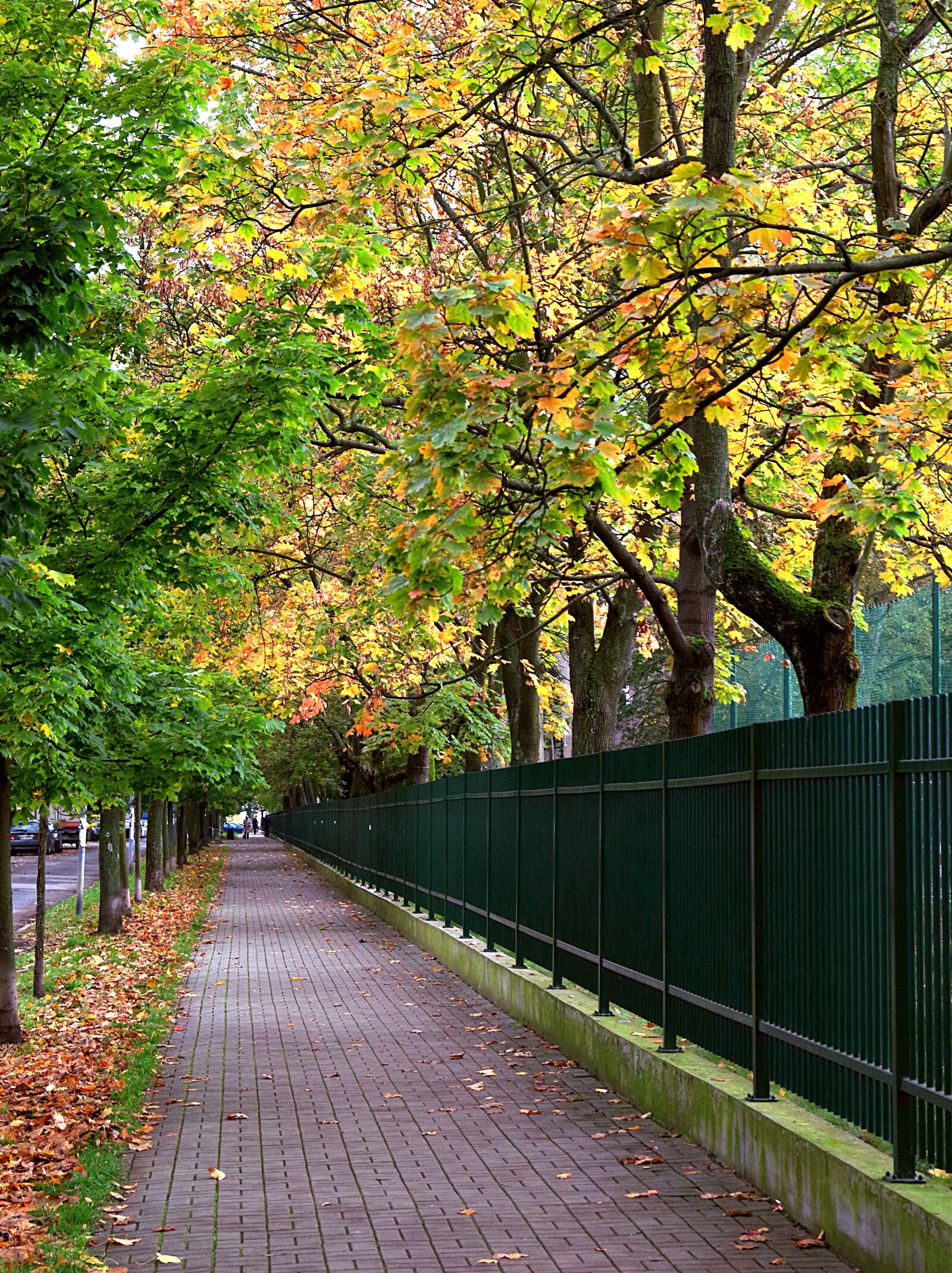 Pentax K-S2 sample photo. Alley, park, autumn photography