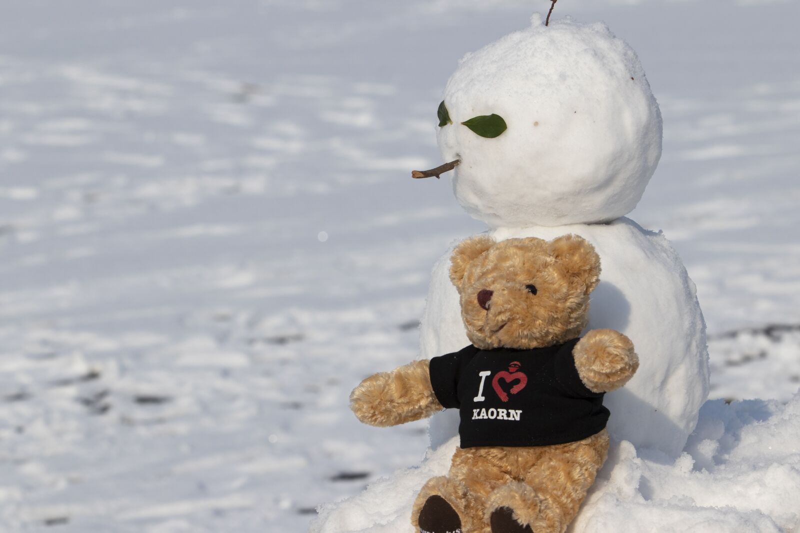 Canon EF 70-200mm F2.8L USM sample photo. Snow, snowman, winter photography