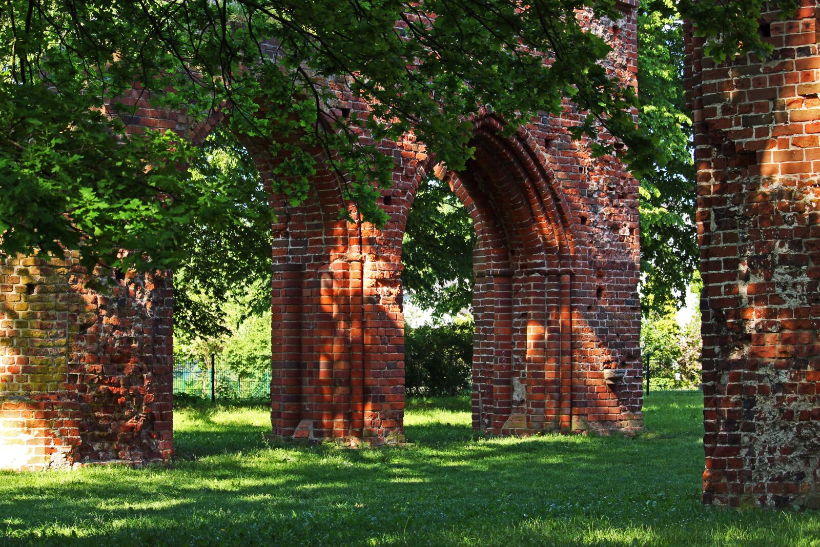Canon EOS 700D (EOS Rebel T5i / EOS Kiss X7i) sample photo. Ruins of eldena abbey photography