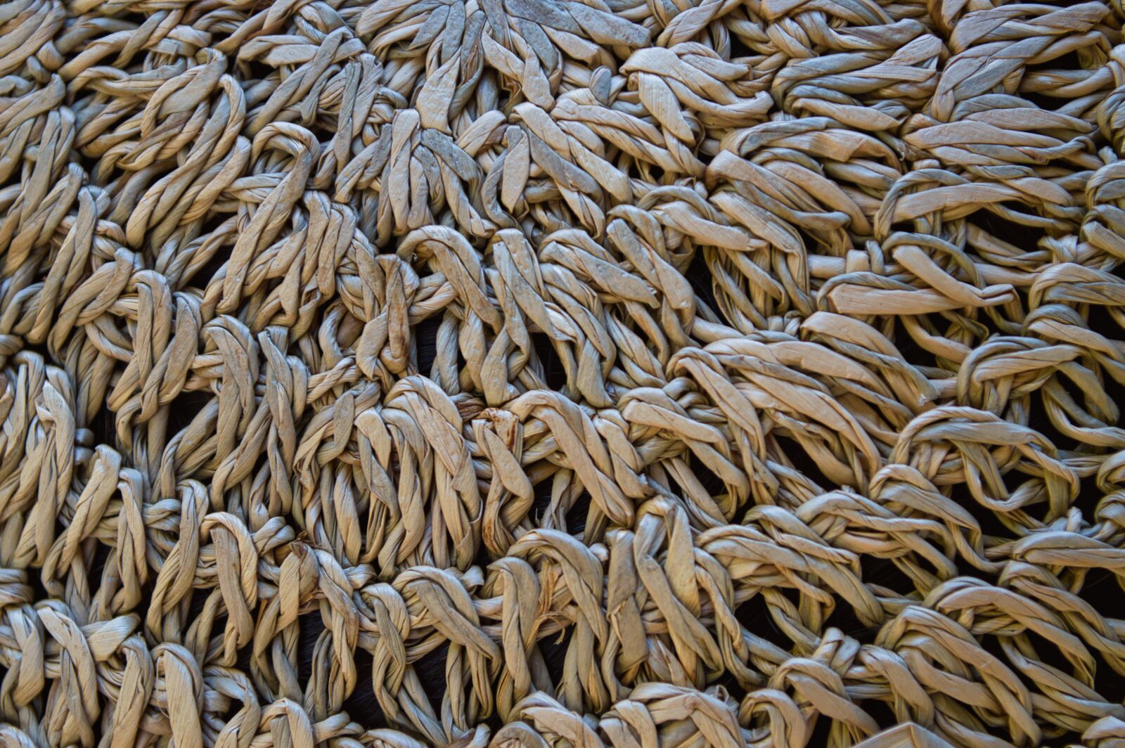 Nikon D3200 sample photo. Texture, plants, braided photography