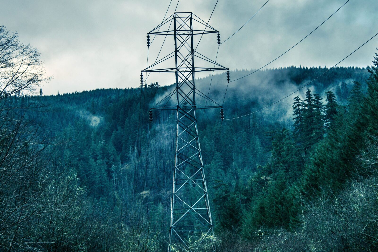 Nikon D5200 sample photo. Power line, wire, electricity photography