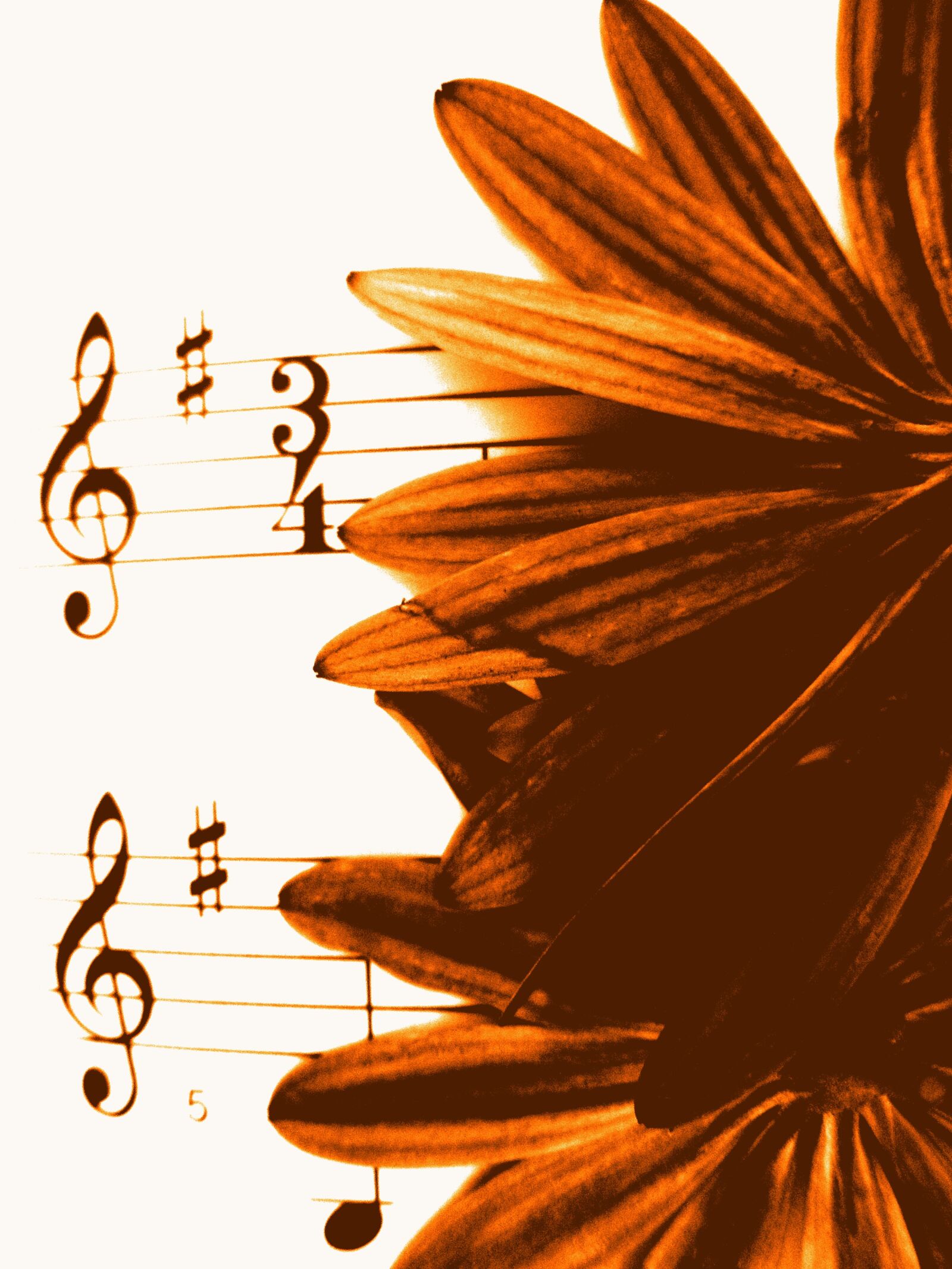 Olympus u820,S820 sample photo. Music background, music, sepia photography