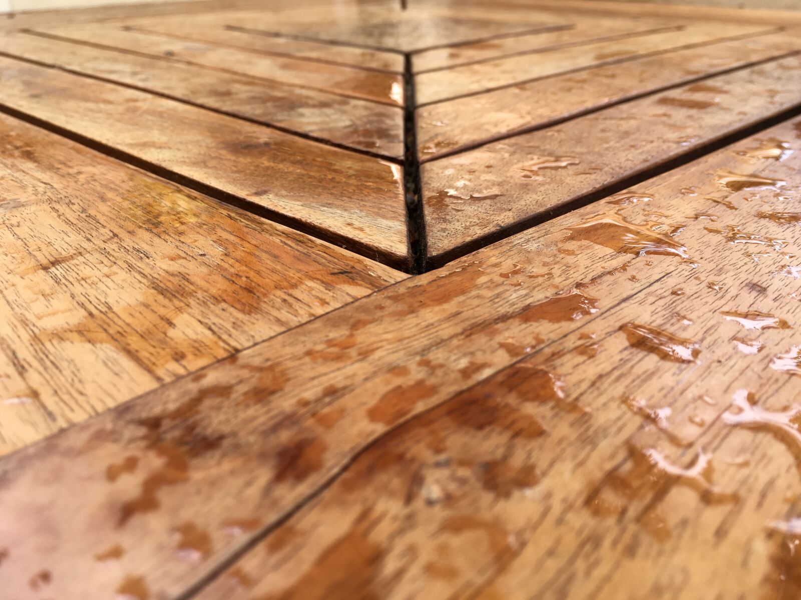 iPhone SE back camera 4.15mm f/2.2 sample photo. Wood, table, rain photography