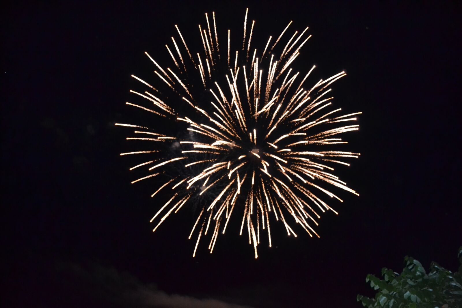 Nikon D3100 sample photo. Fire, artifice, fireworks photography