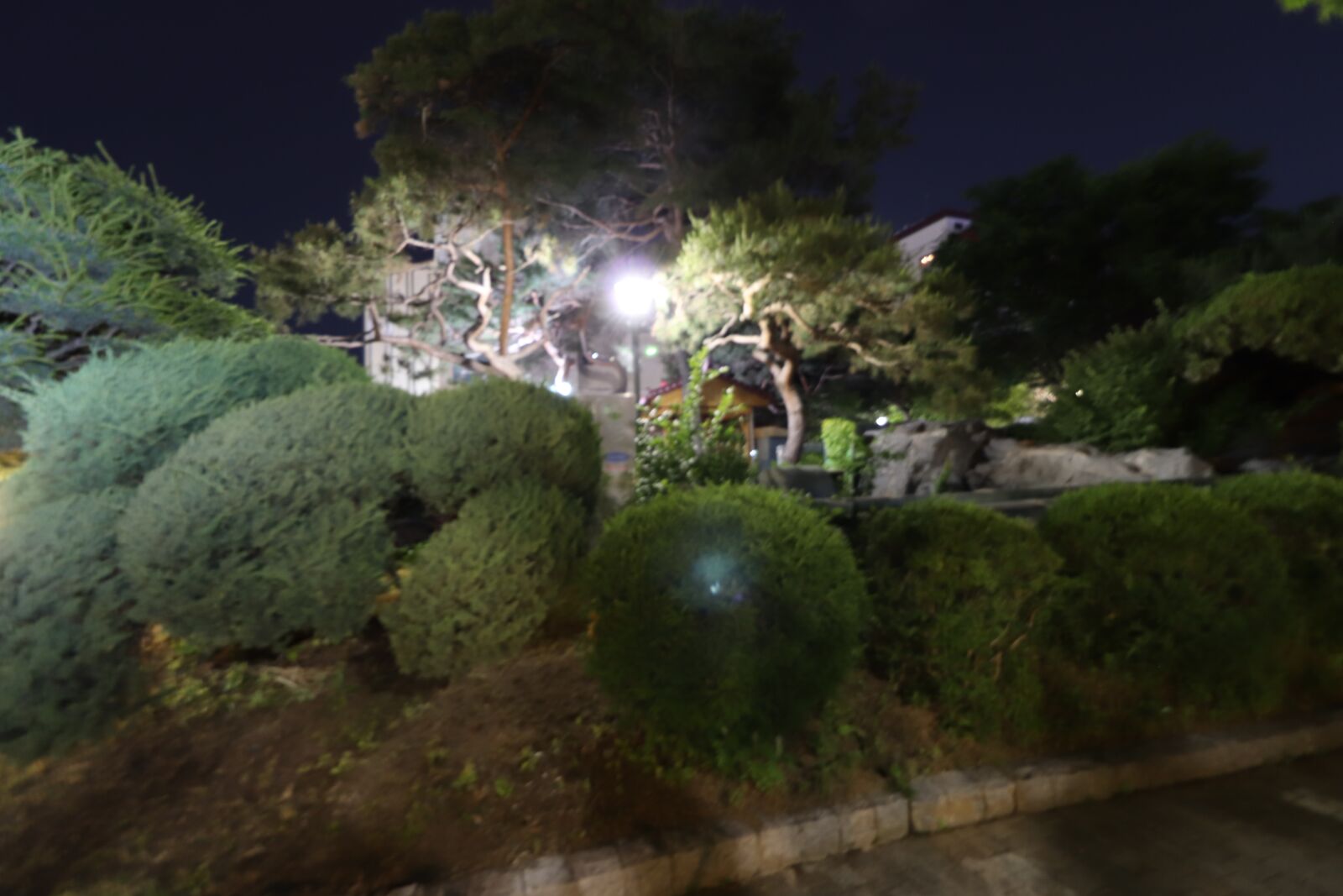 Canon EF-S 10-18mm F4.5–5.6 IS STM sample photo. Garden, night, light photography