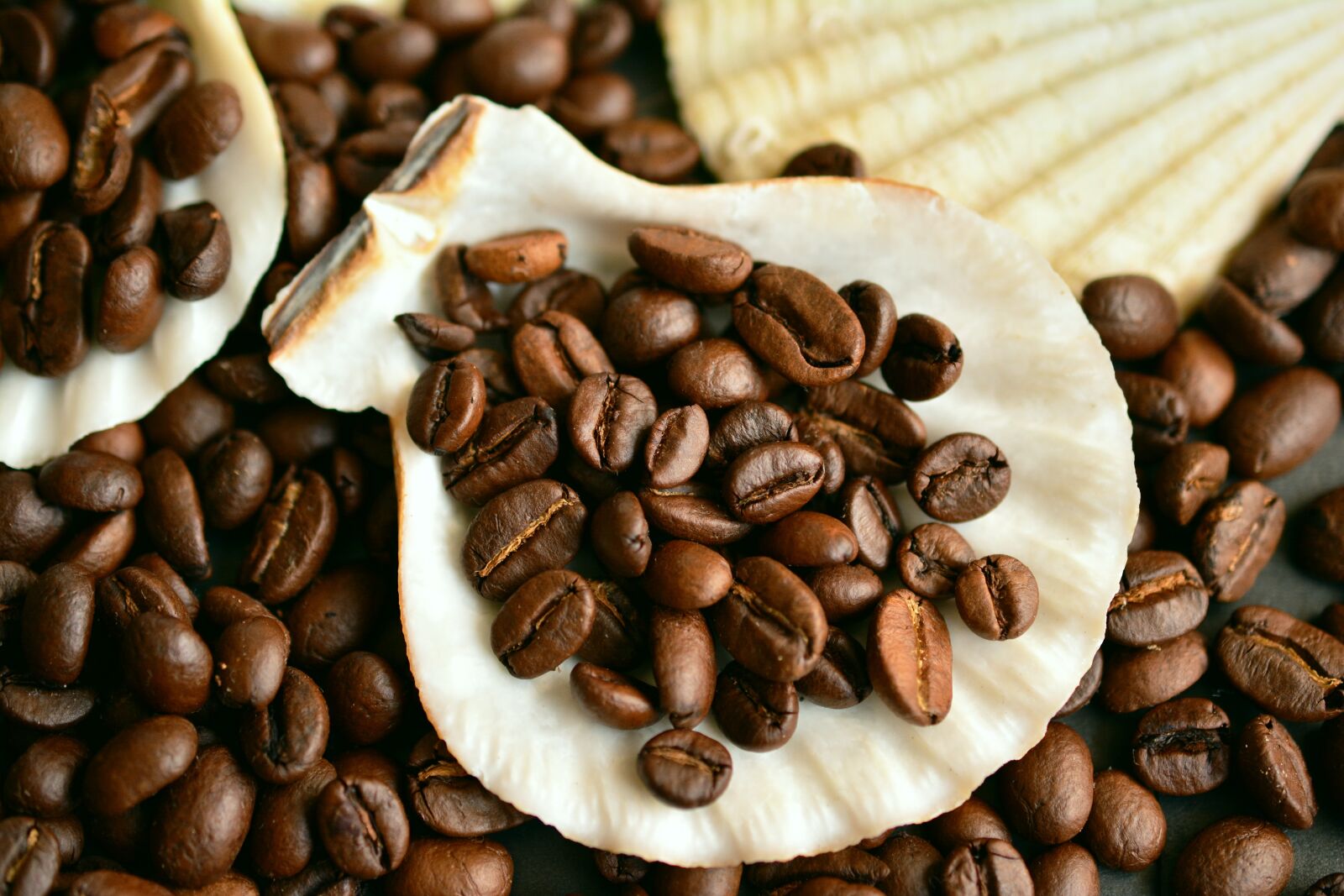 Nikon D5200 sample photo. Coffee beans, coffee, beans photography