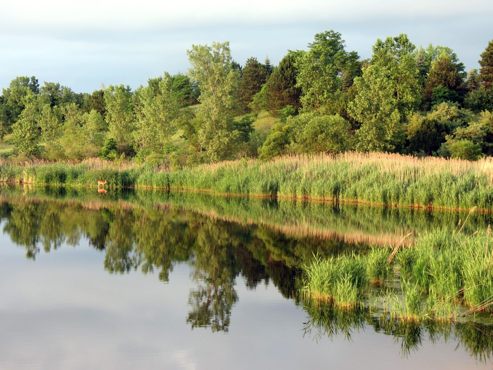 Canon PowerShot SX40 HS sample photo. Nature, lake, reflection photography