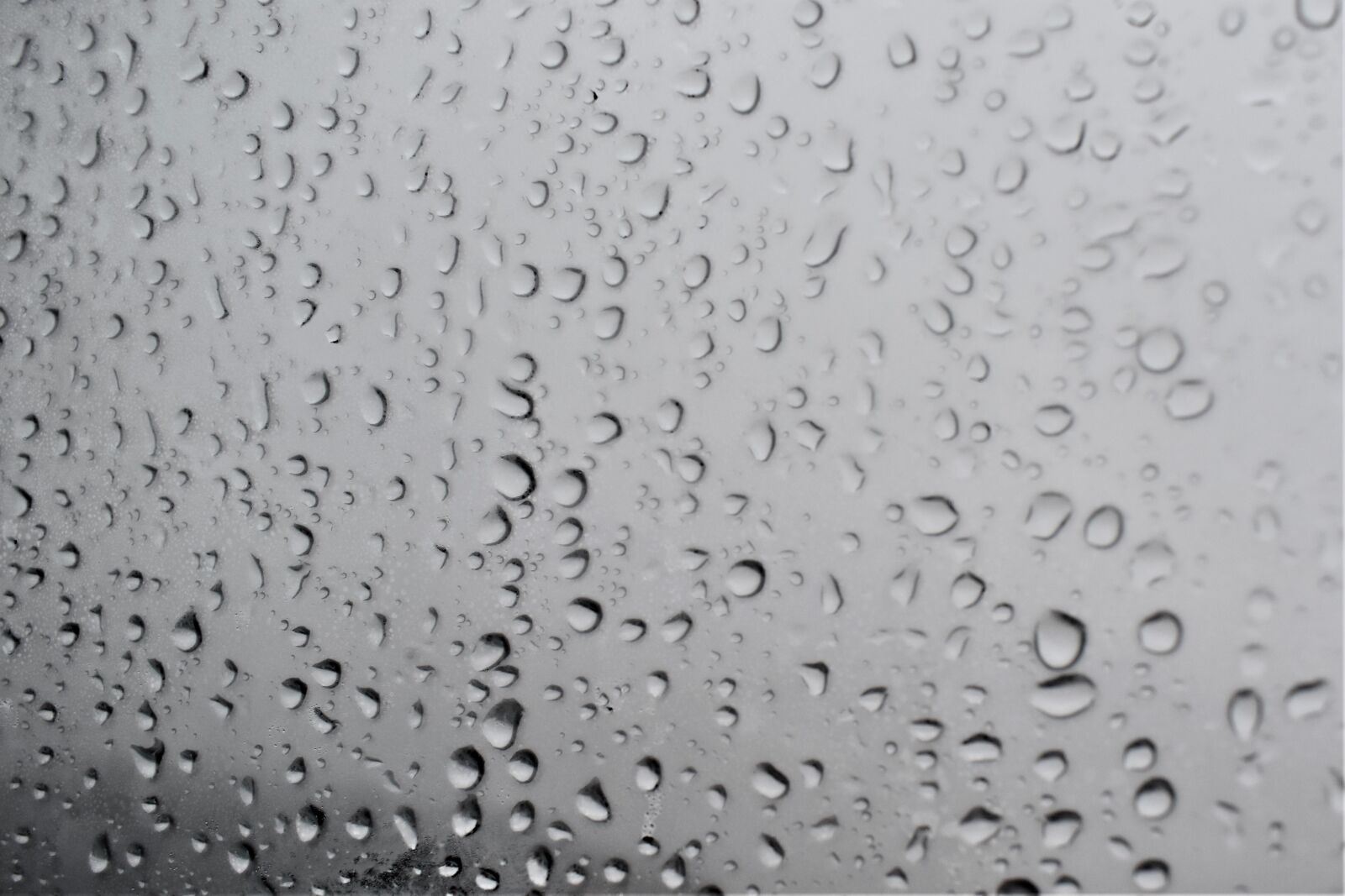 Nikon D5600 sample photo. Raindrops, window, droplets photography