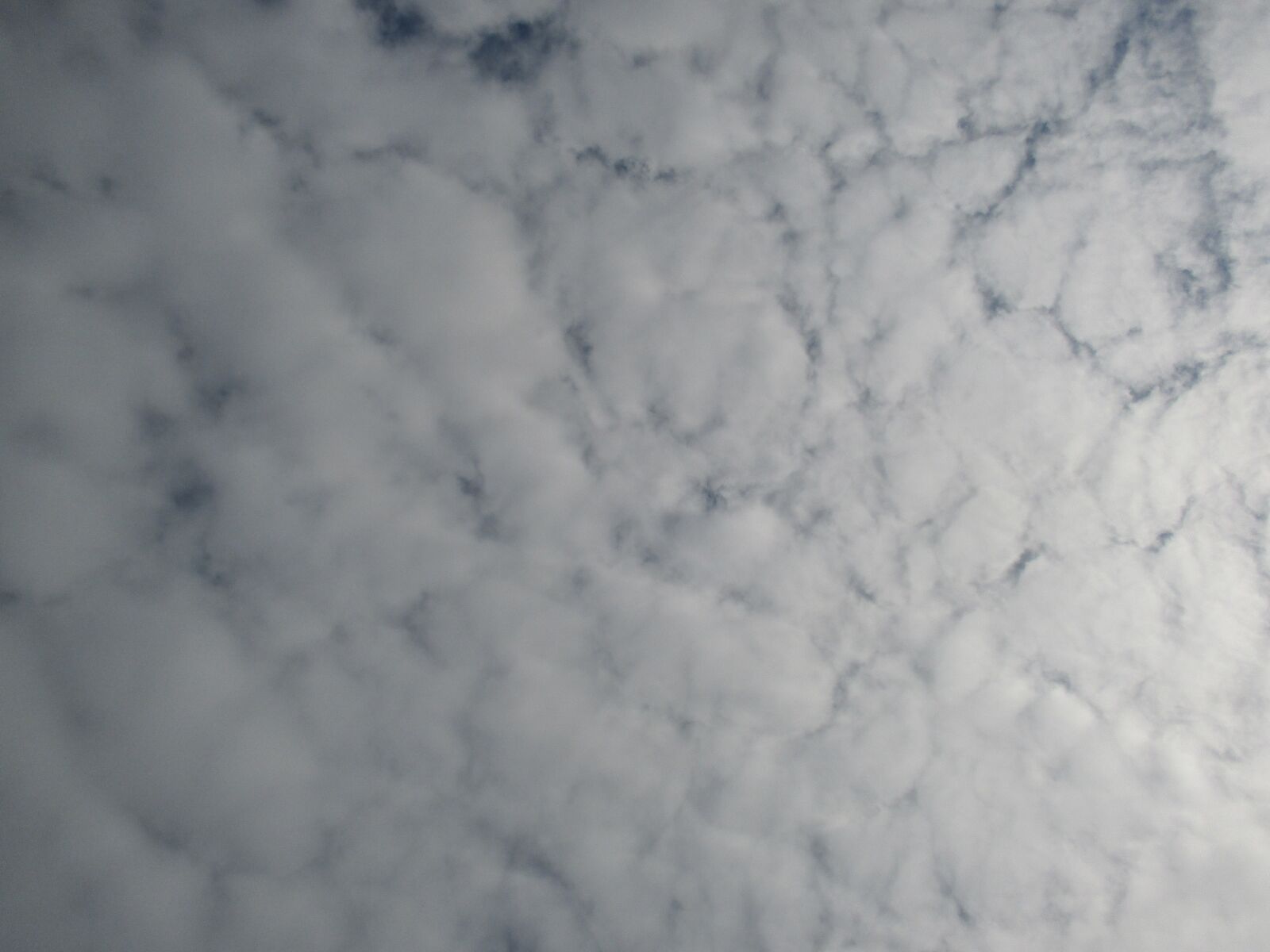Canon PowerShot ELPH 135 (IXUS 145 / IXY 120) sample photo. Clouds, sky, fluffy photography