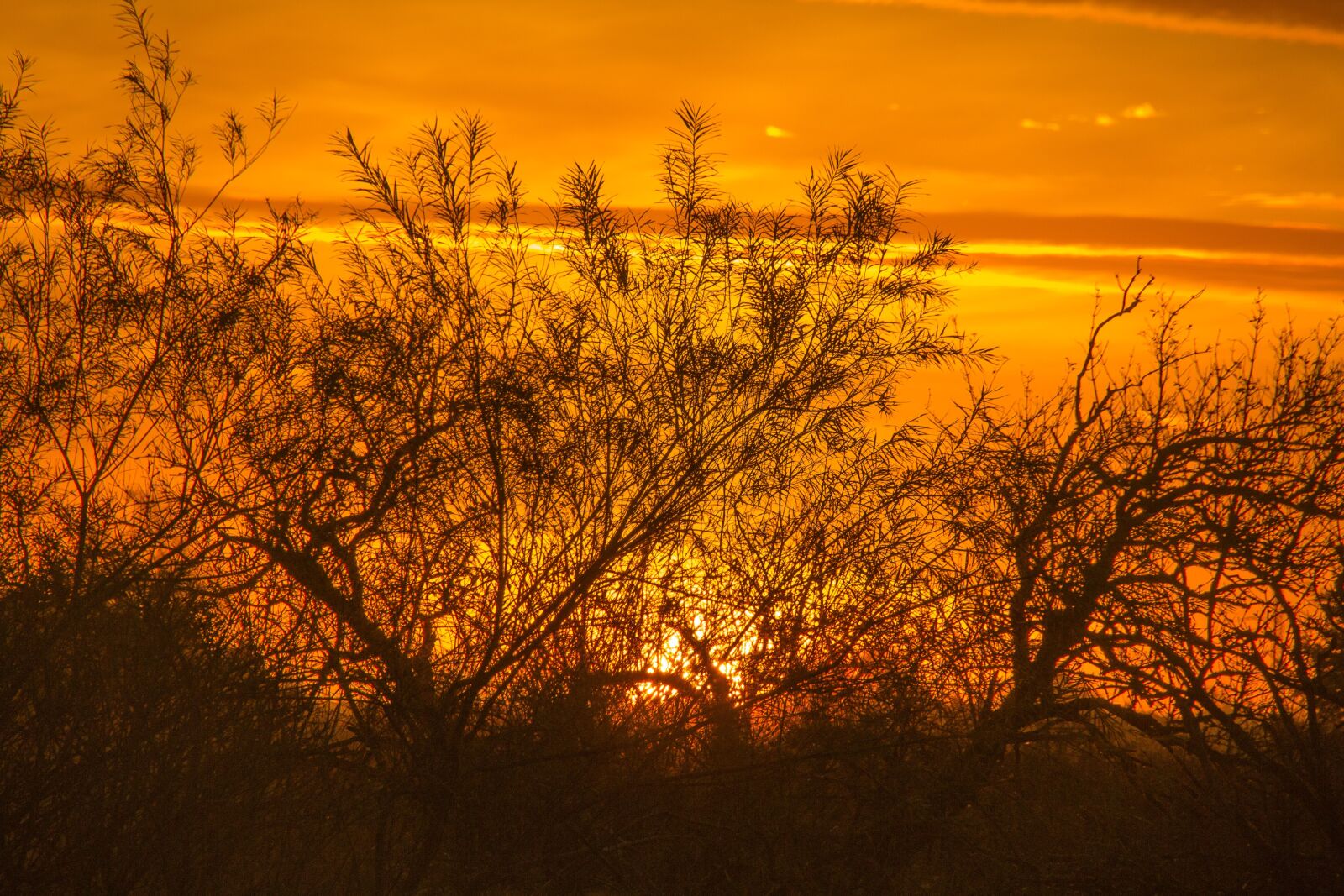 Canon EOS 550D (EOS Rebel T2i / EOS Kiss X4) sample photo. Morning sun, åmosen, sunrise photography