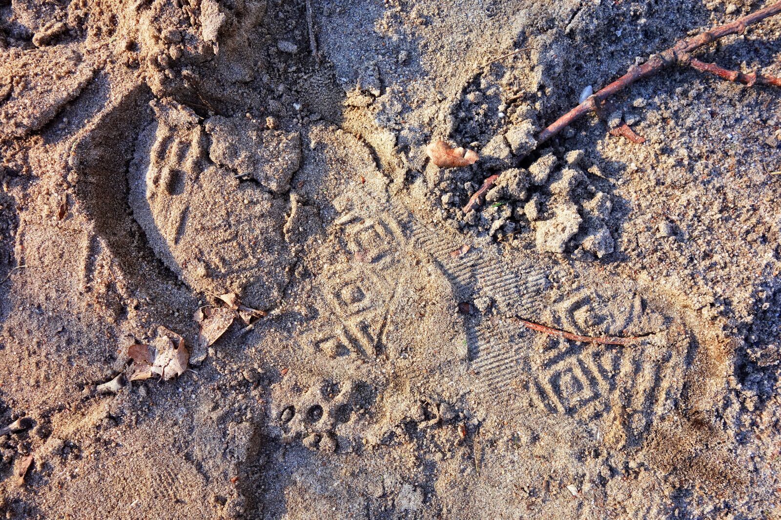 Sony Cyber-shot DSC-RX100 sample photo. Footprint, footstep, human photography