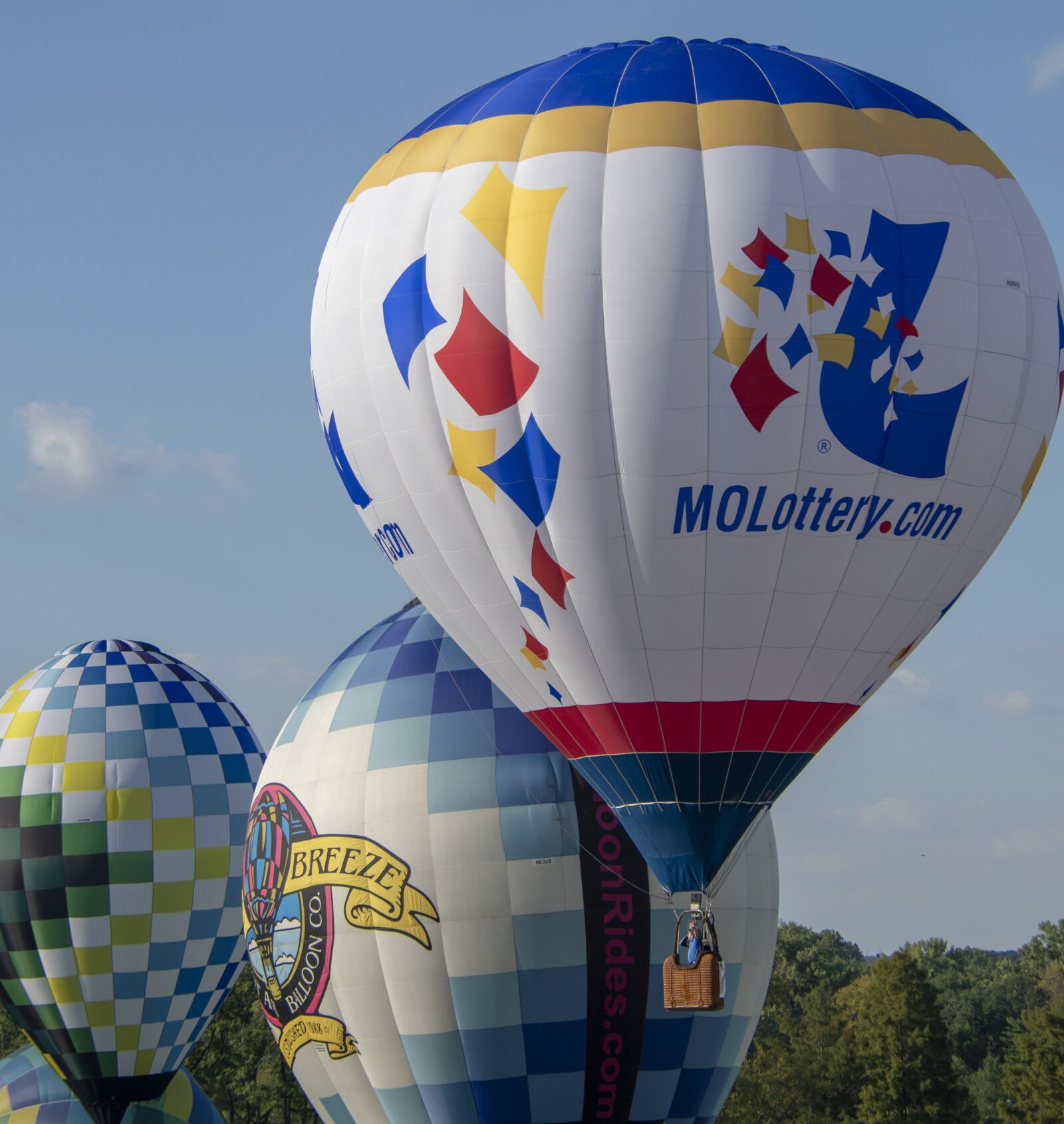 Nikon D850 sample photo. Hot air balloon, balloon photography