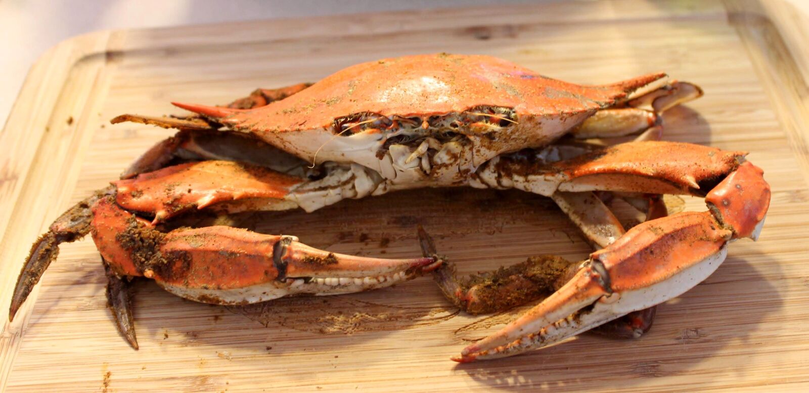 Canon EOS 600D (Rebel EOS T3i / EOS Kiss X5) sample photo. Steamed, maryland, blue crab photography
