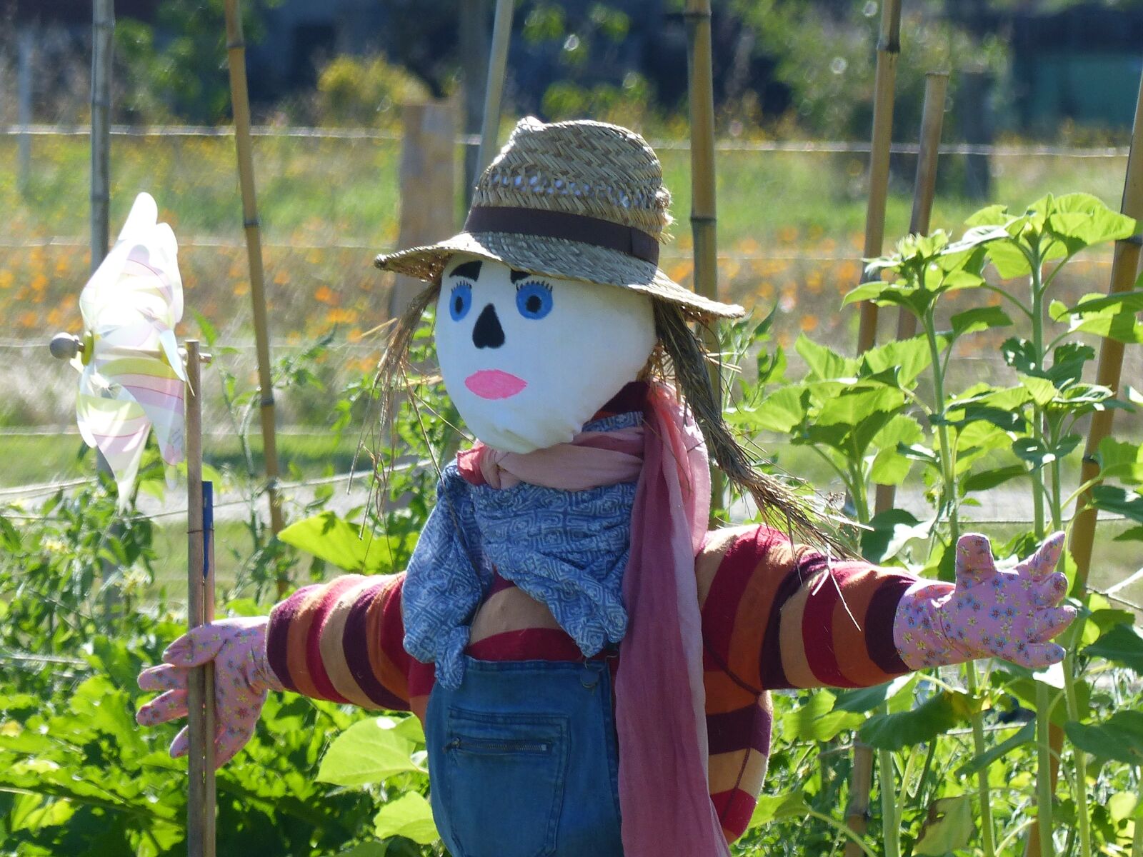 Panasonic Lumix DMC-FZ200 sample photo. Scarecrow, garden, incredible photography