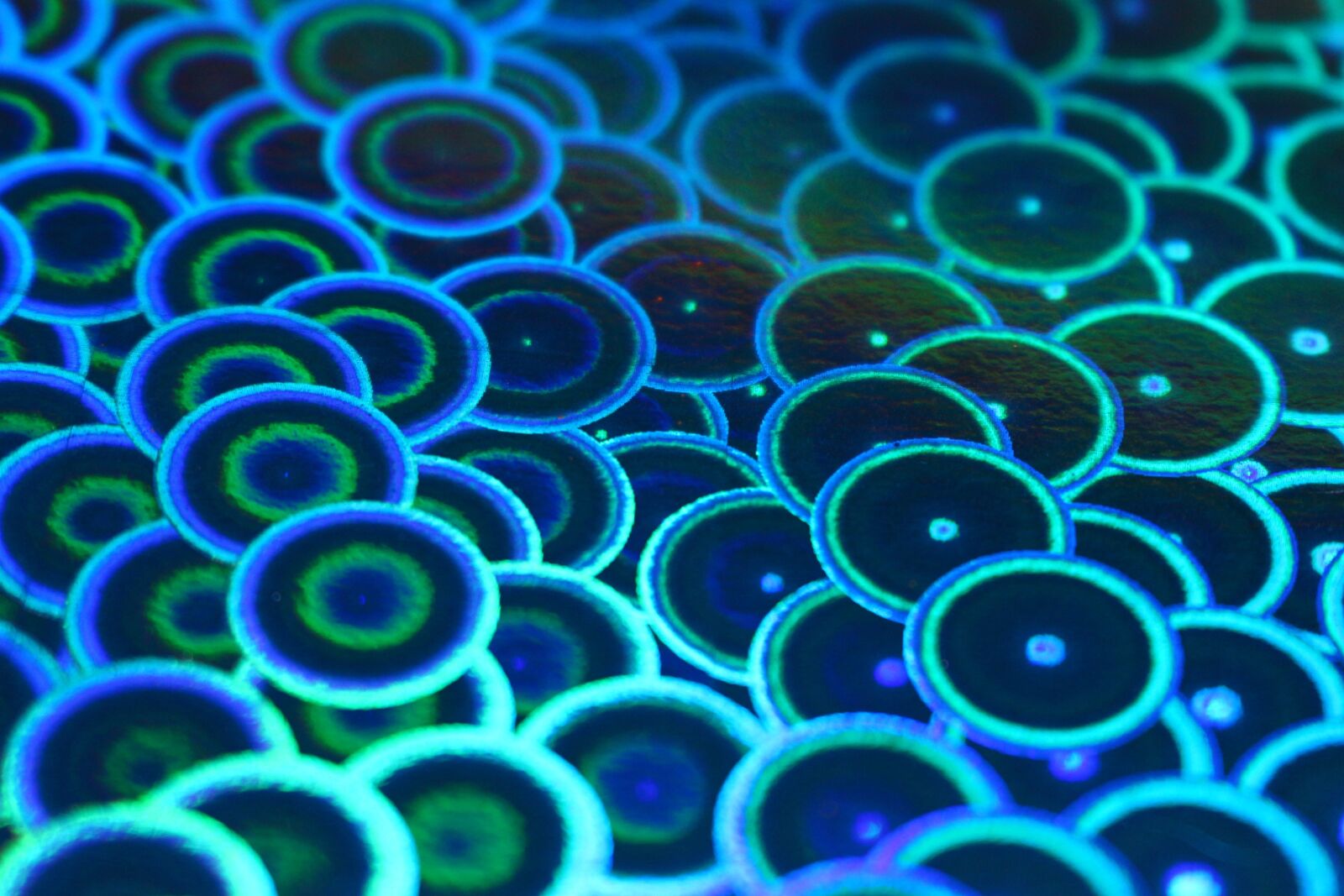 Canon EOS 100D (EOS Rebel SL1 / EOS Kiss X7) sample photo. Handicraft paper, iridescent, photo photography