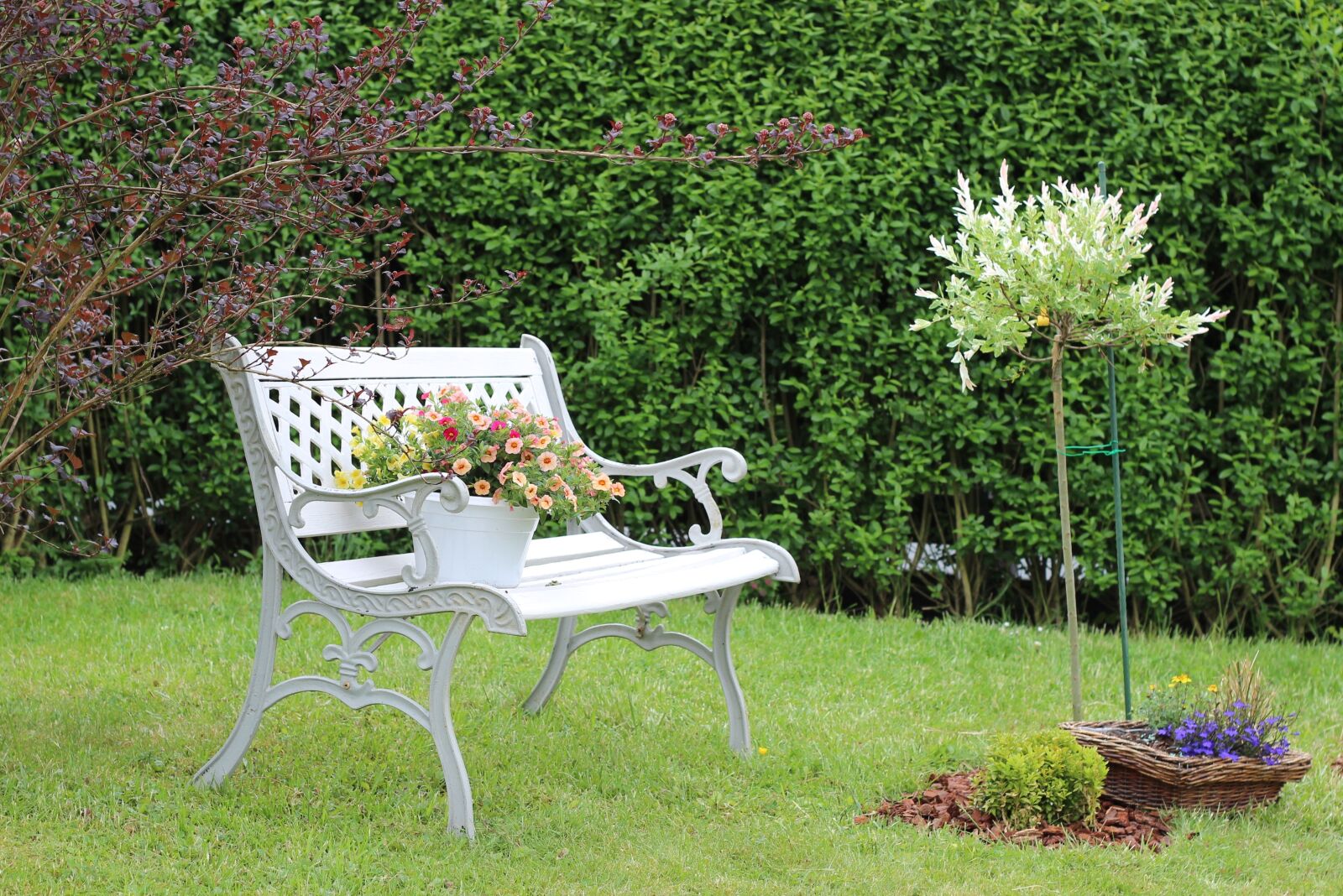 Canon EOS 600D (Rebel EOS T3i / EOS Kiss X5) + Canon EF 50mm F1.8 II sample photo. Garden bench, summer, resting photography