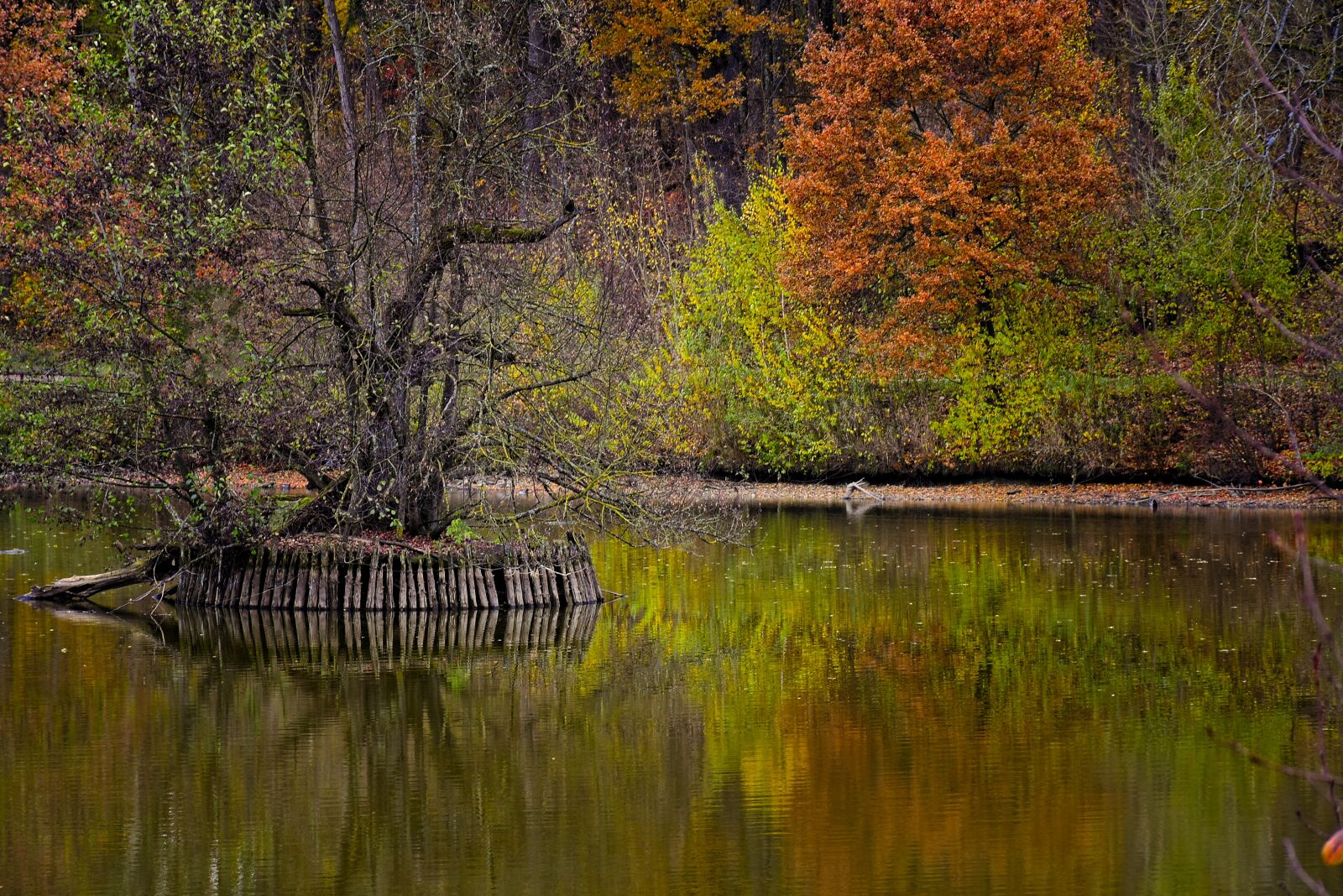 Nikon D7200 sample photo. Lake, water, mirroring photography