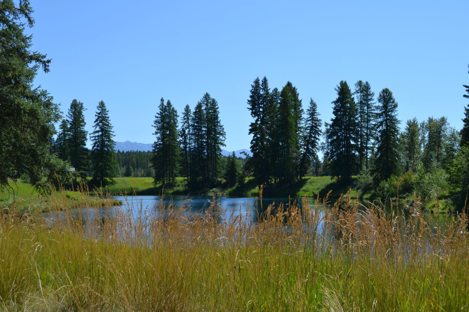 Nikon D3100 sample photo. Pond, lake, water photography