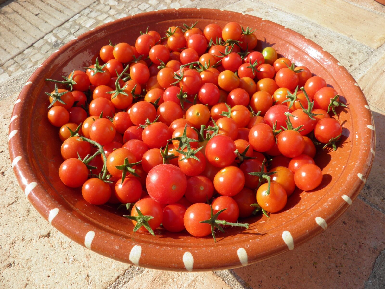 Olympus SP800UZ sample photo. Tomatoes, red, cherry photography