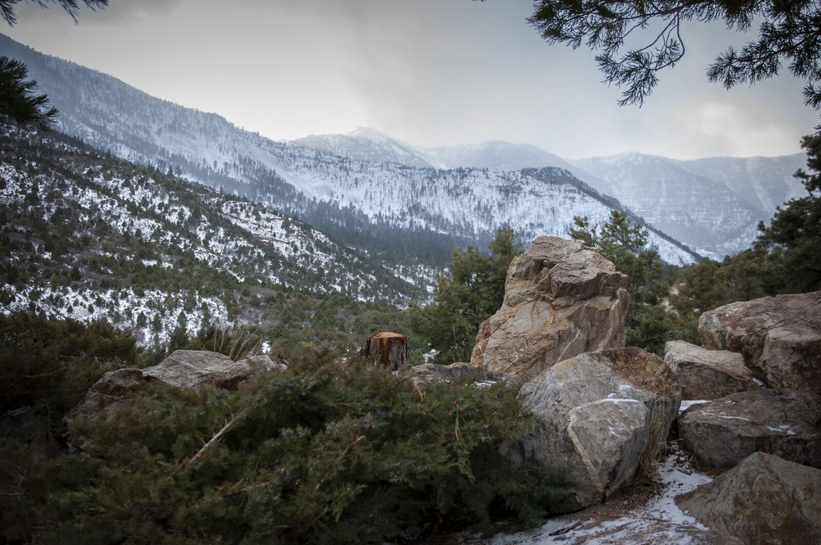 Nikon D300S sample photo. Winter, christmas, vegas photography