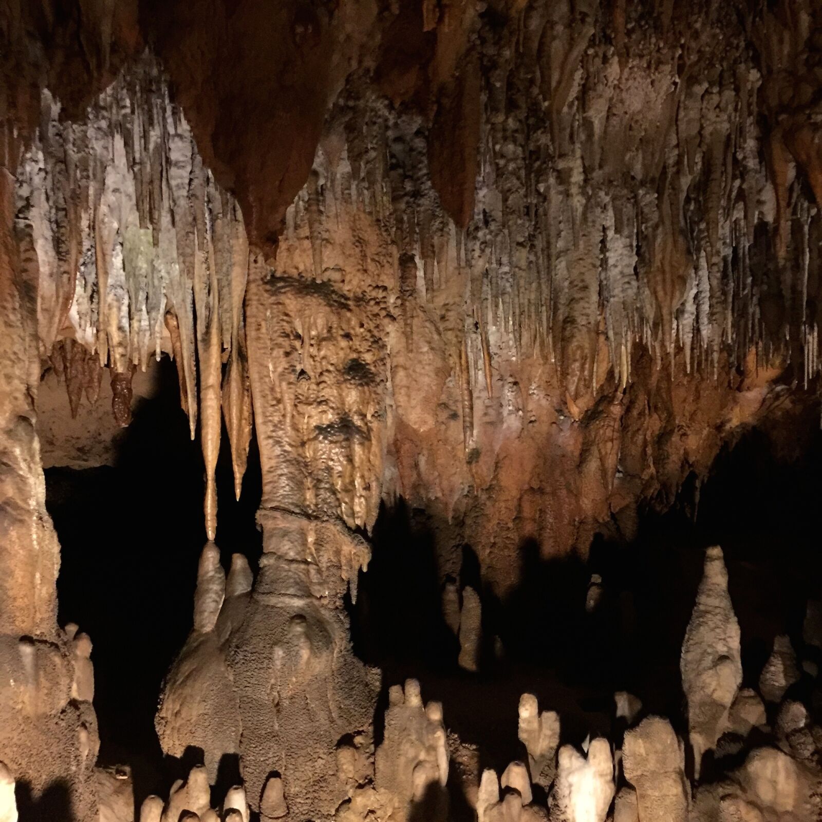 iPhone 6 Plus back camera 4.15mm f/2.2 sample photo. Cave, fossil, underground photography