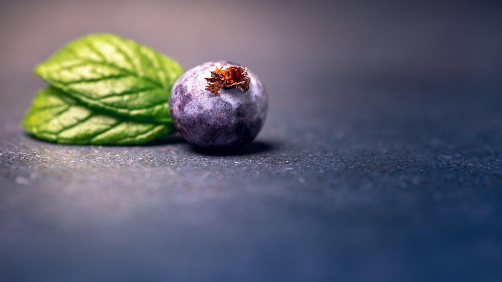 Sony a7 sample photo. Black berry, berry, healthy photography