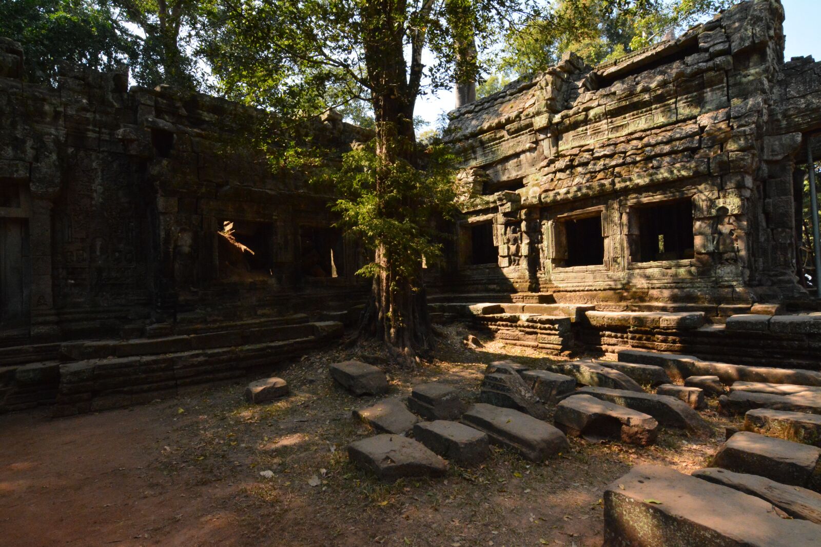 Nikon D7100 sample photo