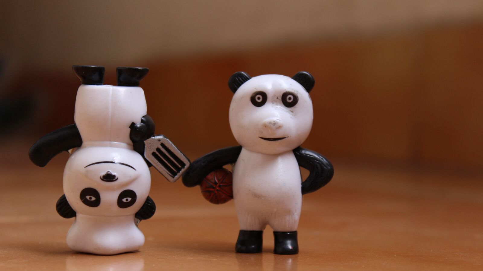 Canon EOS 700D (EOS Rebel T5i / EOS Kiss X7i) sample photo. Friendship, panda, happy photography