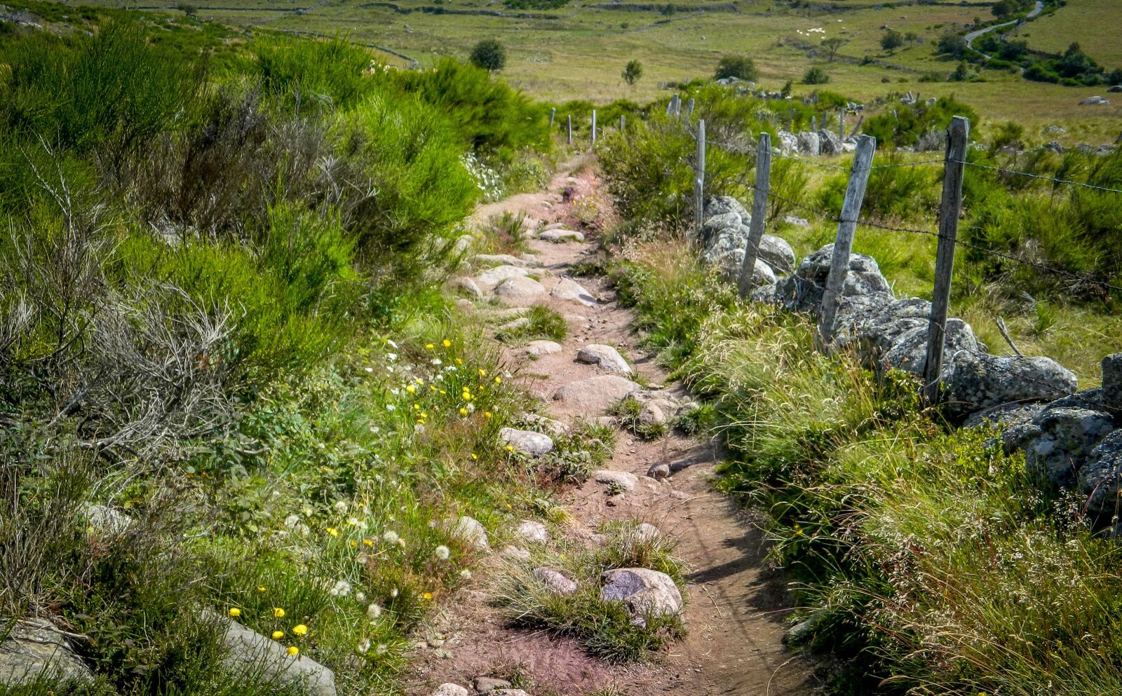 Nikon Coolpix L120 sample photo. Path, aubrac, nature photography