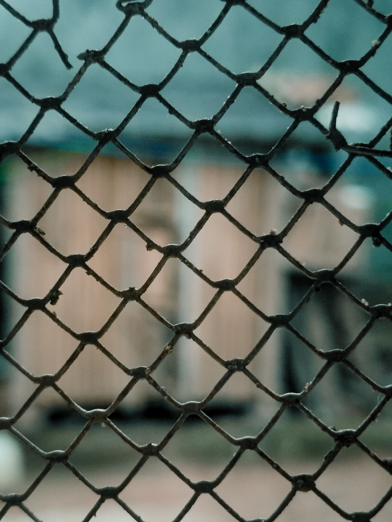 Xiaomi Redmi 3S sample photo. Iron fence, fence, mesh photography
