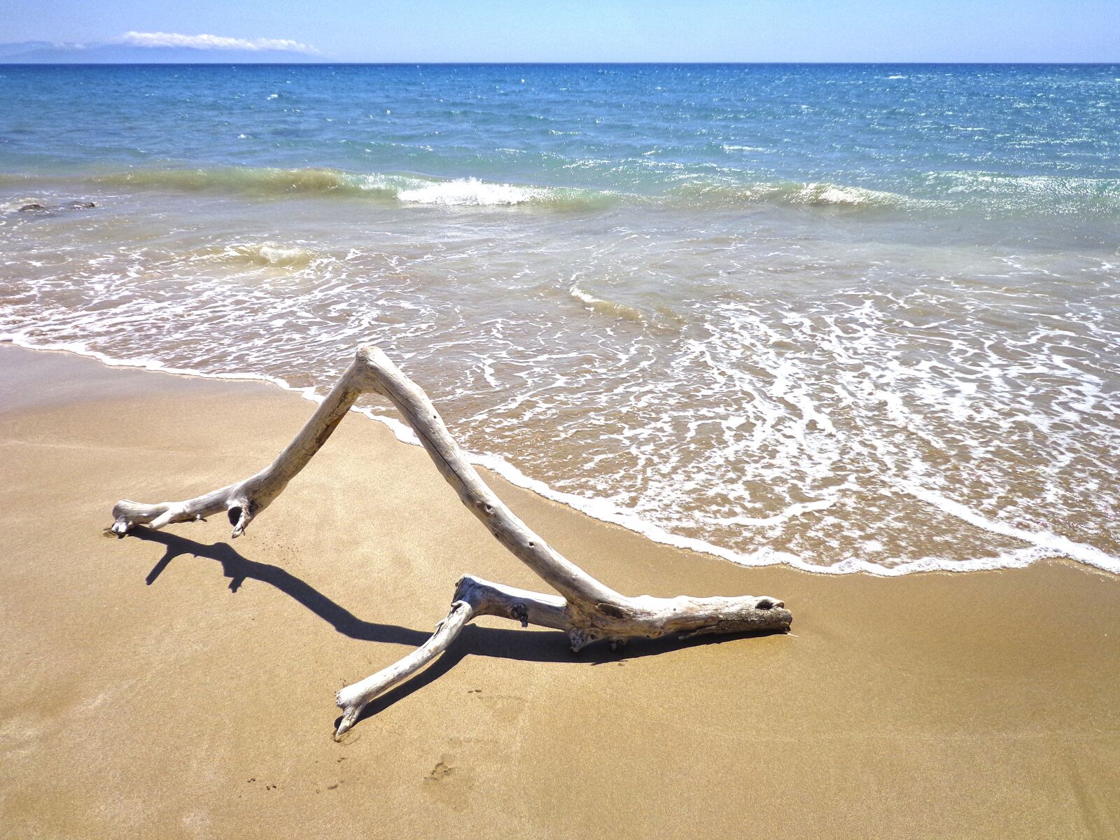 Sony DSC-W650 sample photo. Branch, sea, beach photography