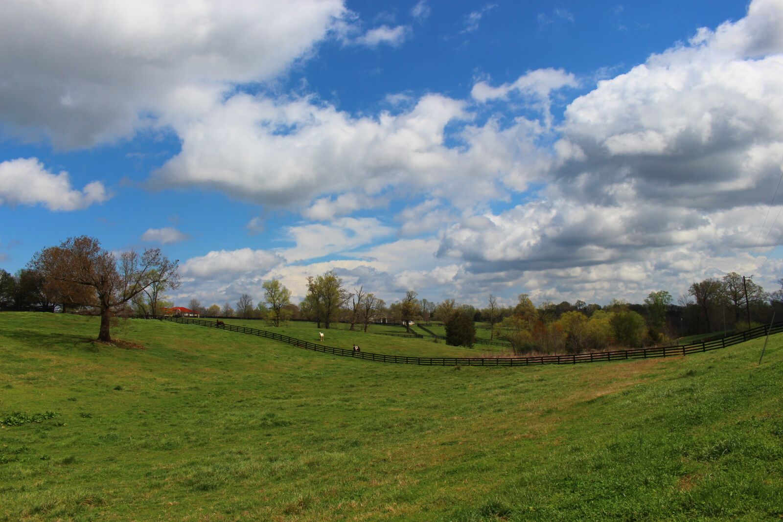Canon EOS 700D (EOS Rebel T5i / EOS Kiss X7i) sample photo. Meadow, sky, clouds photography