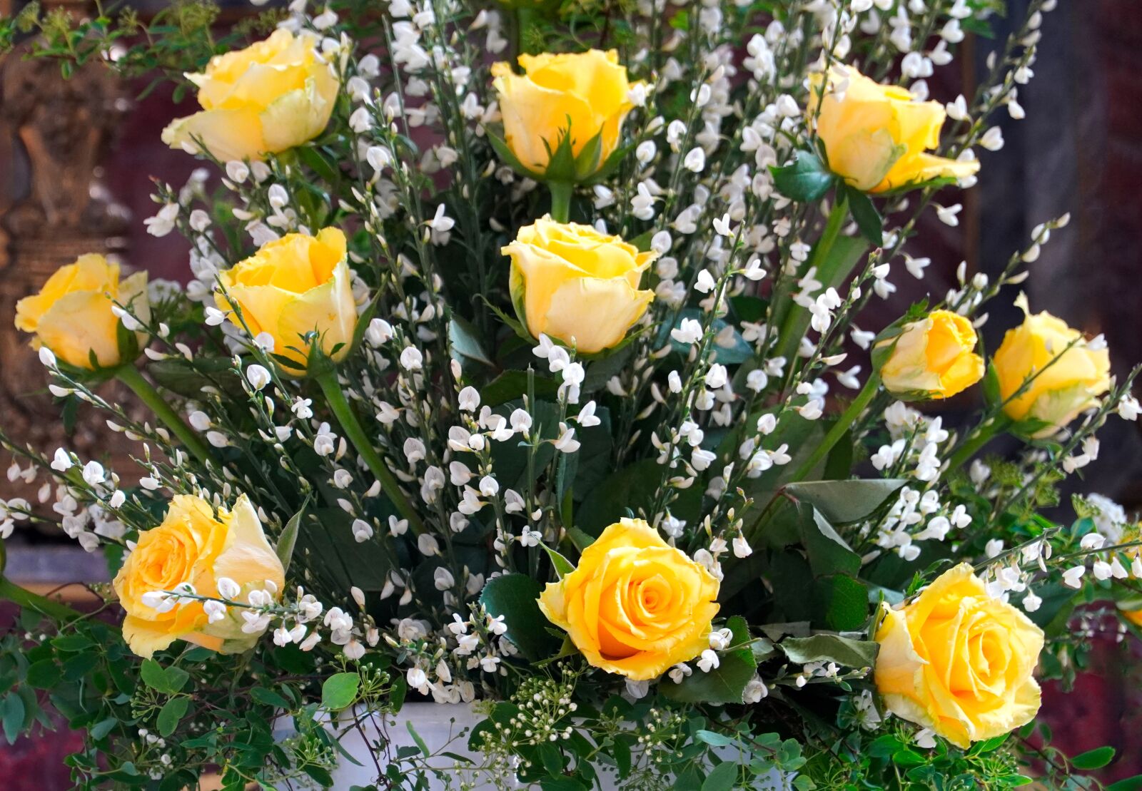 Sony E PZ 18-105mm F4 G OSS sample photo. Roses, yellow, flower photography