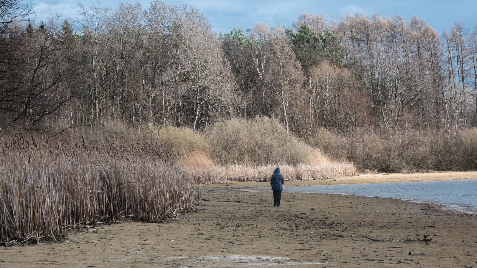 Sony Cyber-shot DSC-RX10 IV sample photo. Pond, beach, walk photography