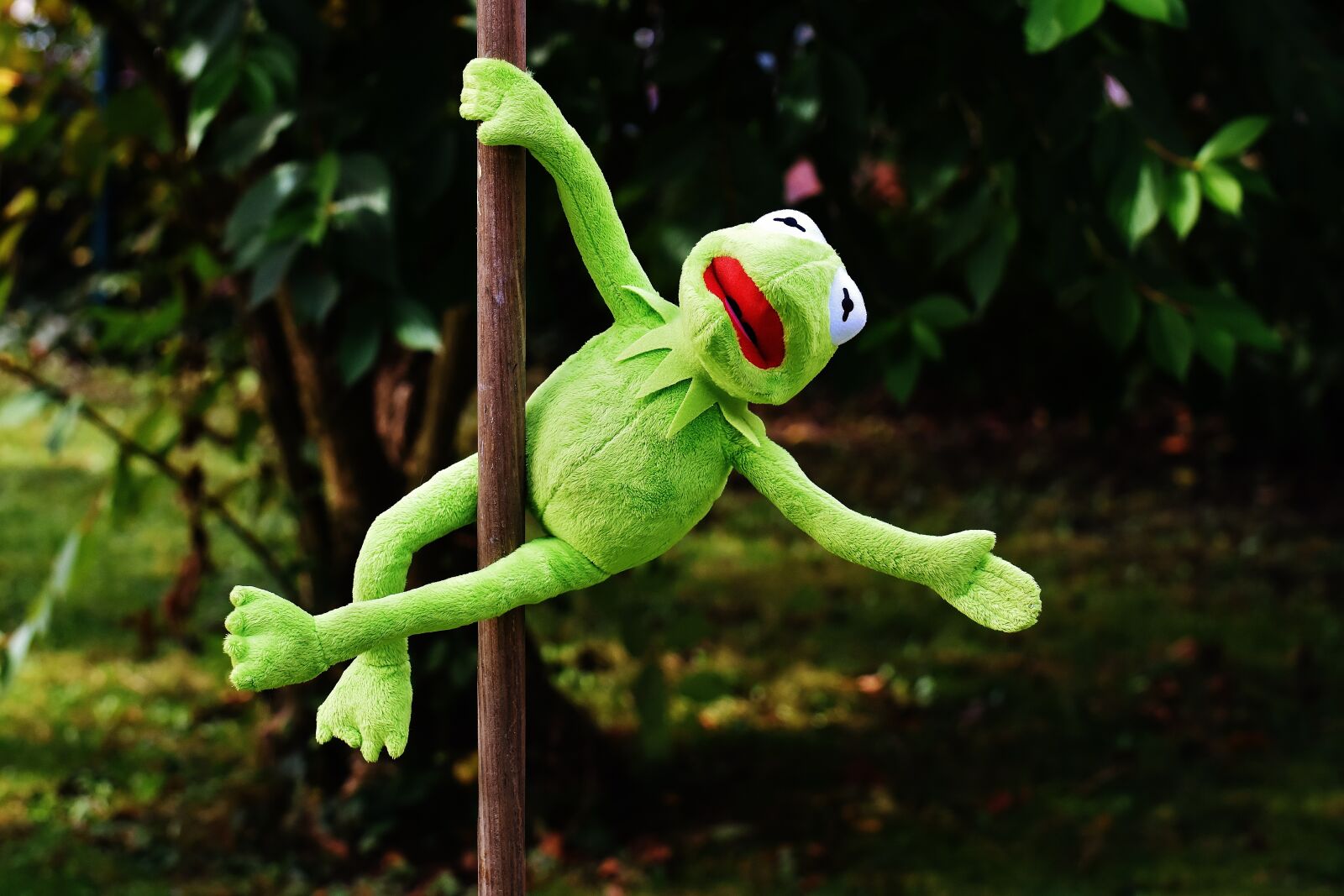 Nikon D7200 sample photo. Pole dance, kermit, funny photography