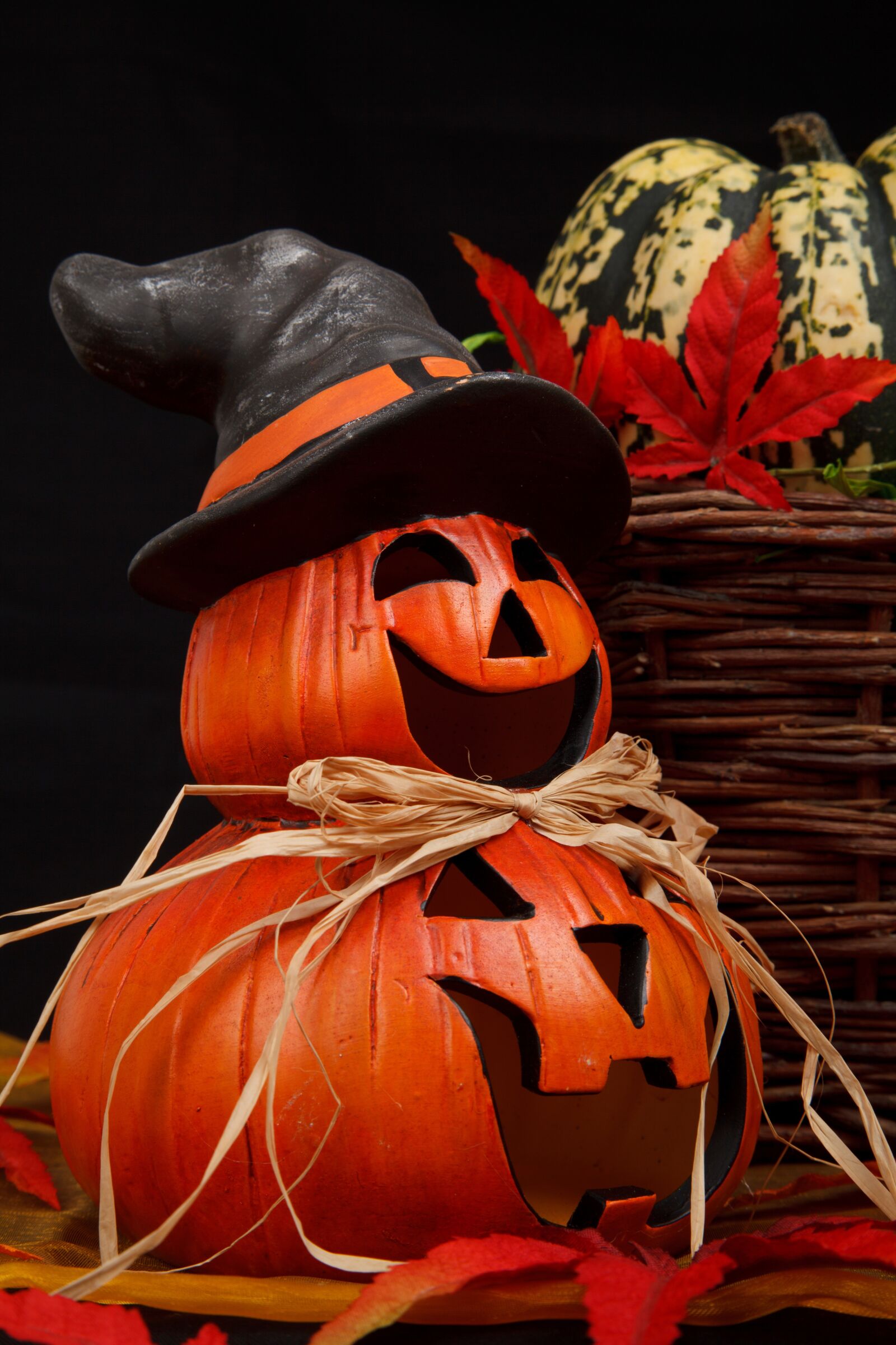 Canon EOS 5D Mark II sample photo. Holiday, autumn, orange, face photography