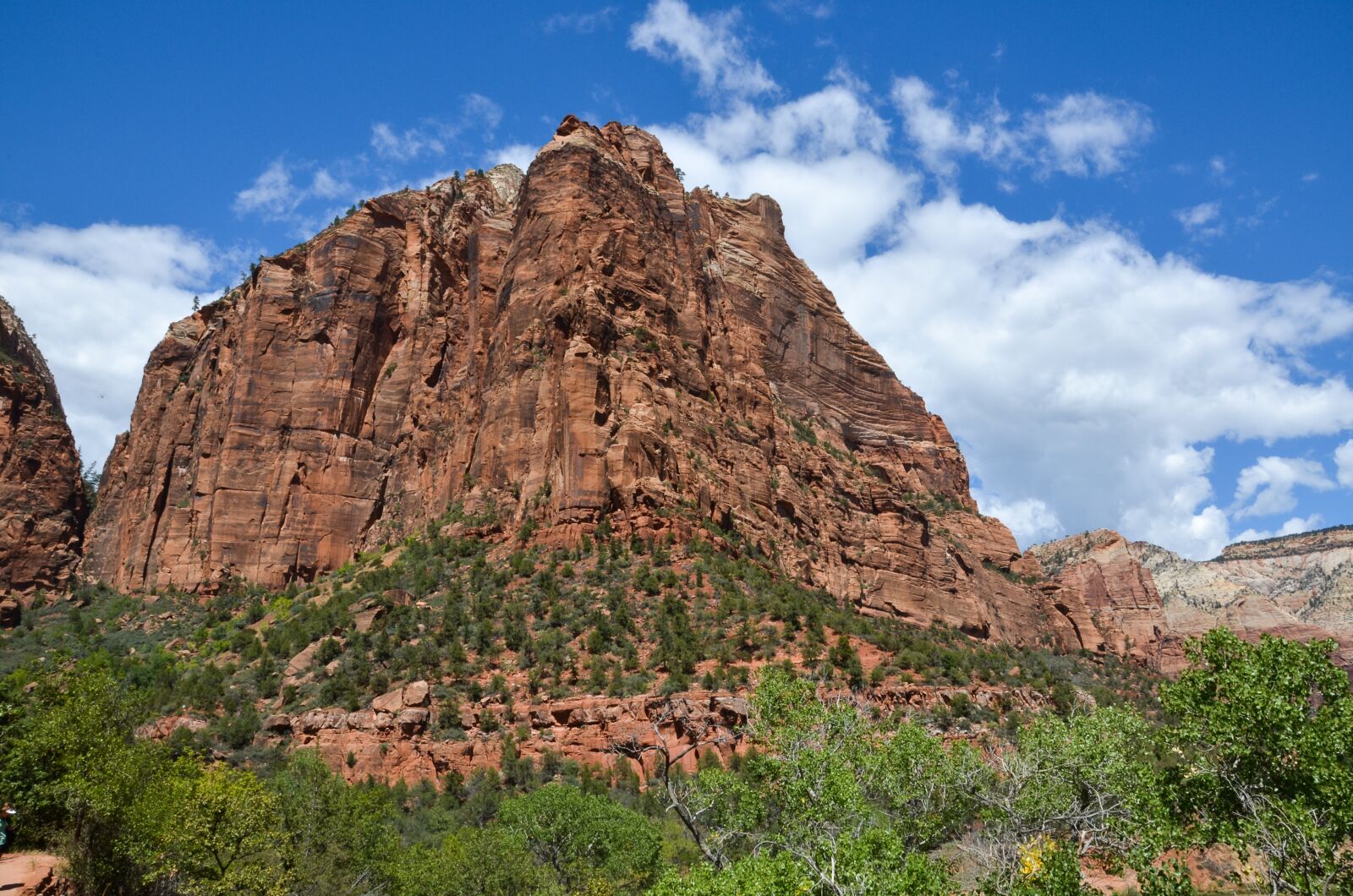 Nikon D5100 sample photo. Usa, america, north america photography
