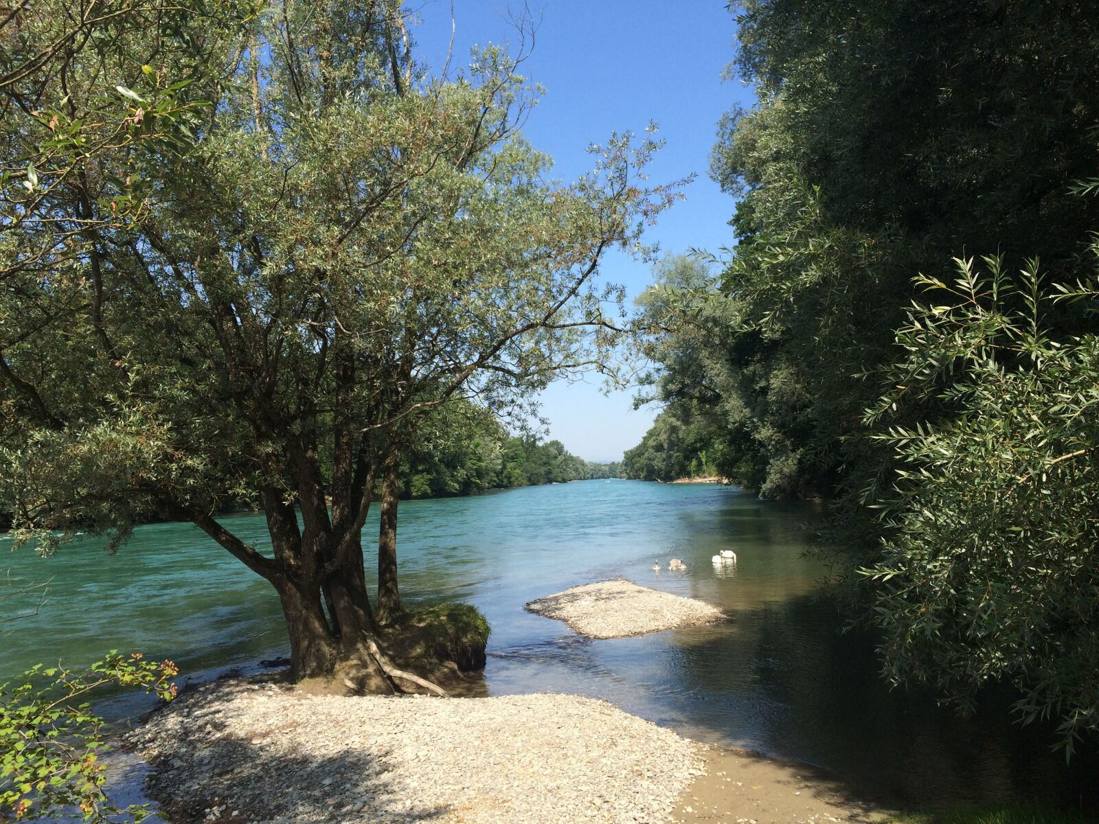 iPhone 5s back camera 4.15mm f/2.2 sample photo. Nature, river, aare photography