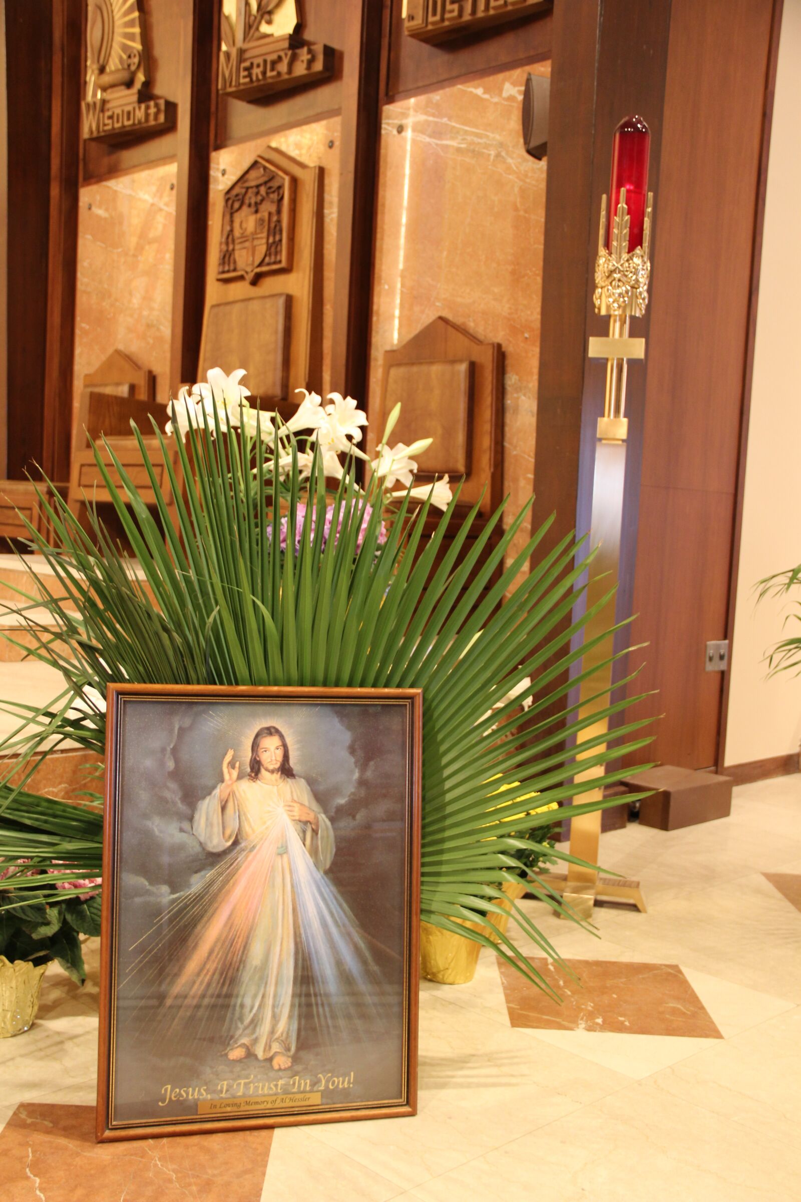 Canon EOS 60D sample photo. Divine mercy, jesus, catholic photography