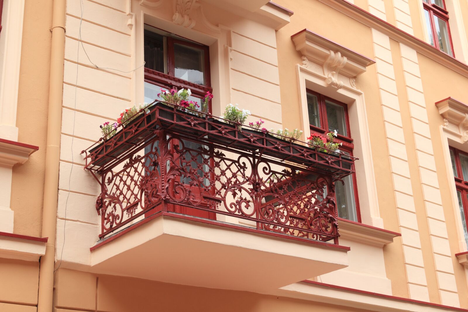 Canon EOS 550D (EOS Rebel T2i / EOS Kiss X4) sample photo. Poland, torun, architecture photography