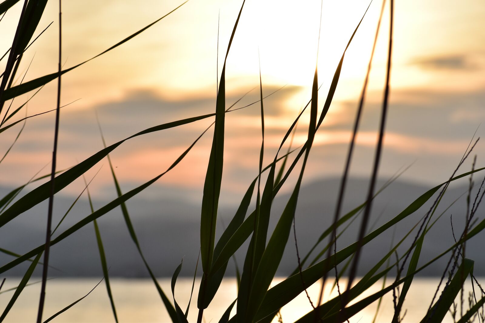 Nikon D5500 sample photo. Sunset, mood, sun photography