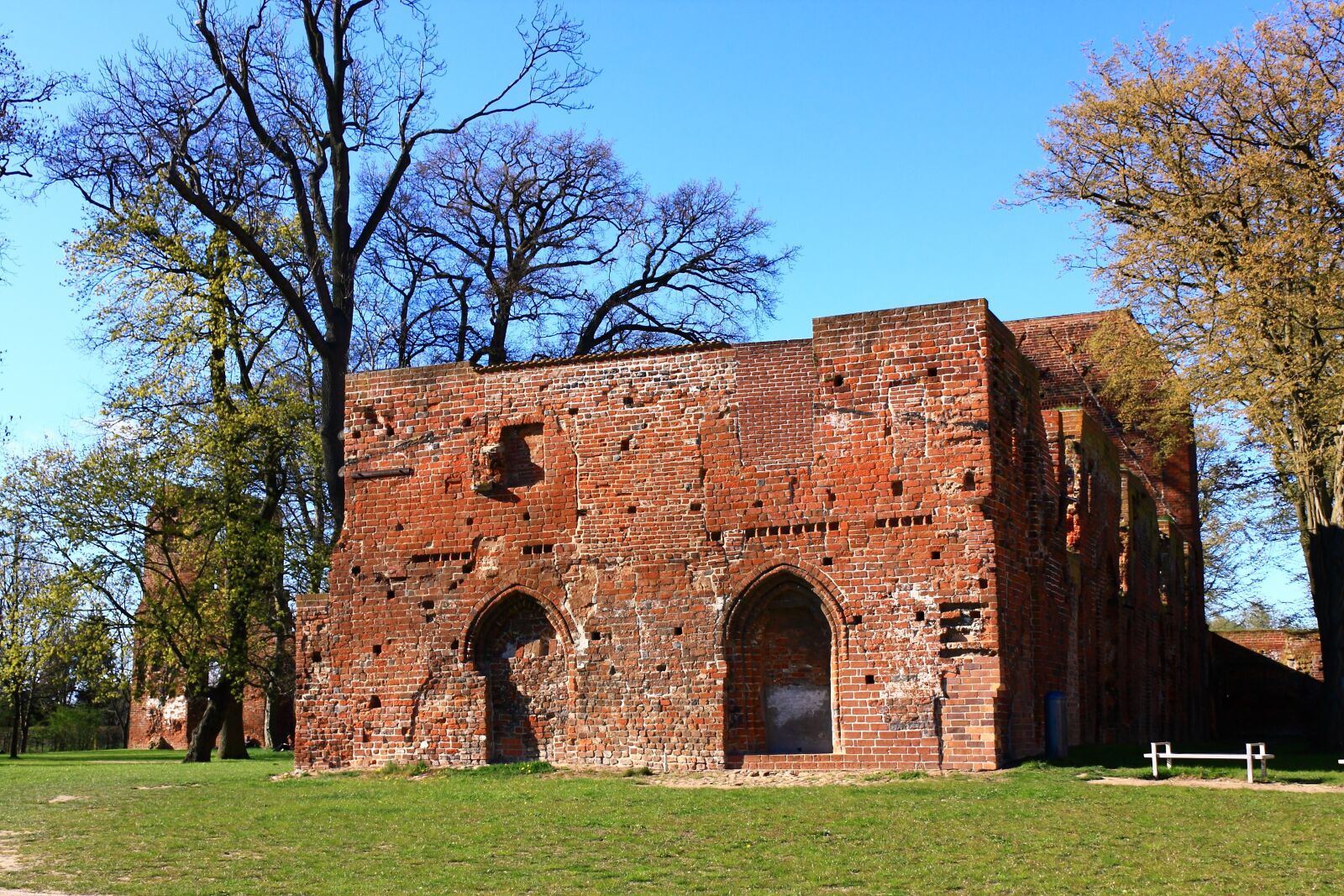 Canon EOS 450D (EOS Rebel XSi / EOS Kiss X2) sample photo. Eldena, ruin, monastery ruins photography